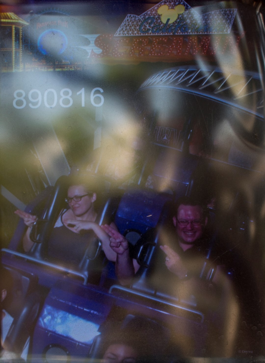 DSC_4204%20(Large).jpg