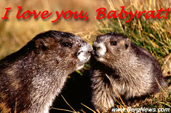 marmot-loveyou-gr.jpg