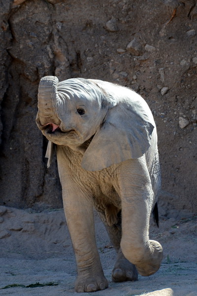 DSC_2141-001-L.jpg