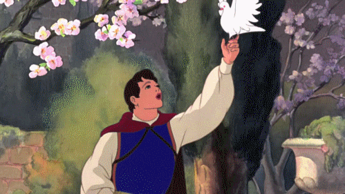 tumblr_lpvdnbZjTM1qkd6mto1_500.gif