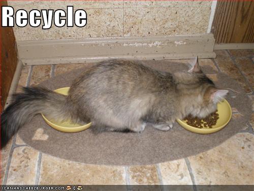 1204982164-funny-pictures-cat-recycles-food.jpg