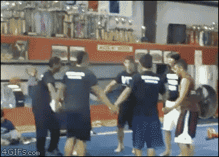 giphy.gif