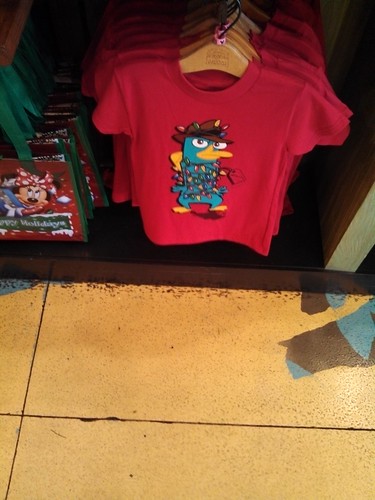 8368064716_c35c25c2c4.jpg
