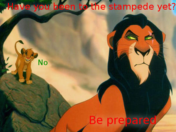 cf3.jpg