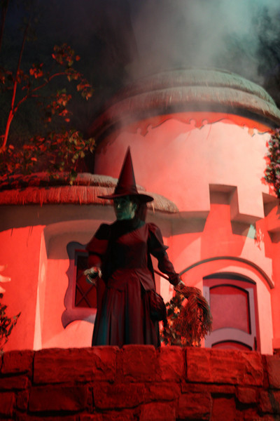 1210801358_fwvR2-L.jpg