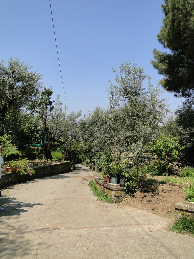 4635941853_78dfb5aab1_b.jpg