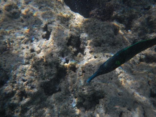 DSCN0774.jpg