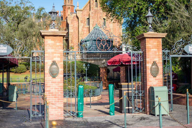 DSC_6617-L.jpg