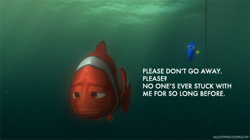 tumblr_lpukdl47R71qbo7f6o1_500.gif