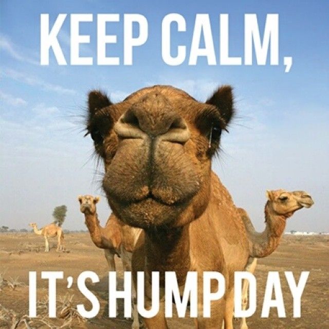 Keep Calm It;s Humpday
