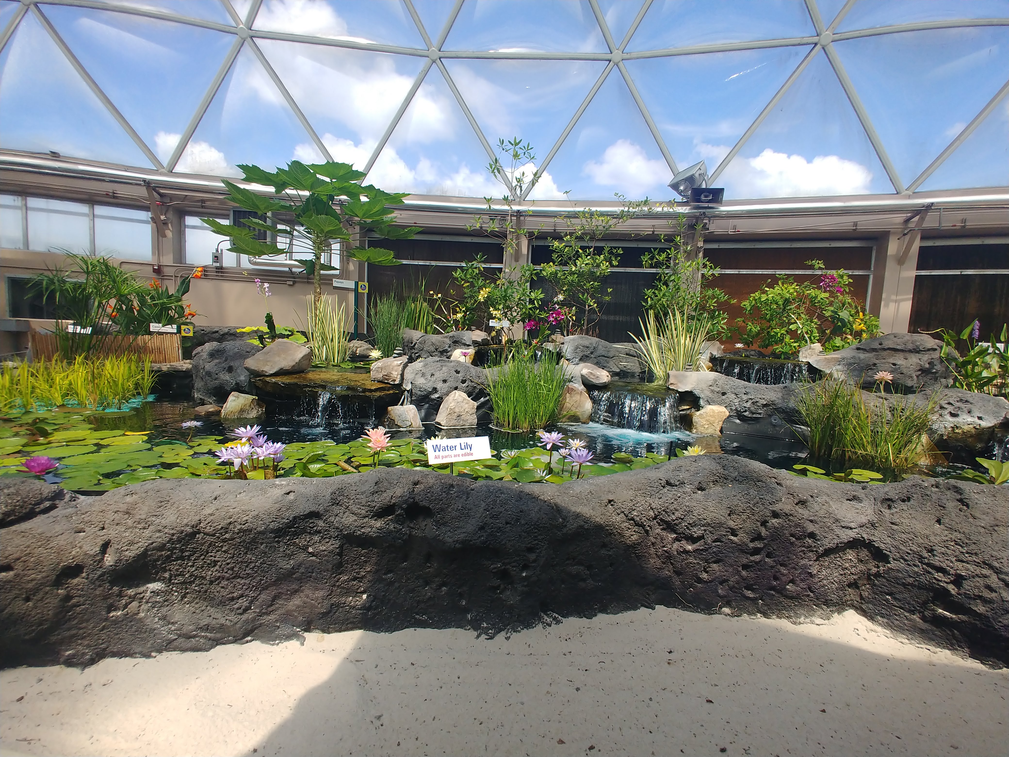 20200907-120346.jpg