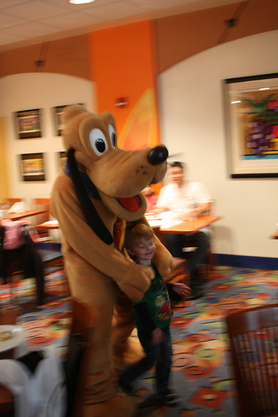 IMG0728-L.jpg