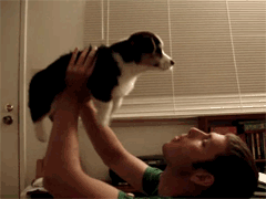 tumblr_lmm8muTbE61qcgoteo1_250.gif