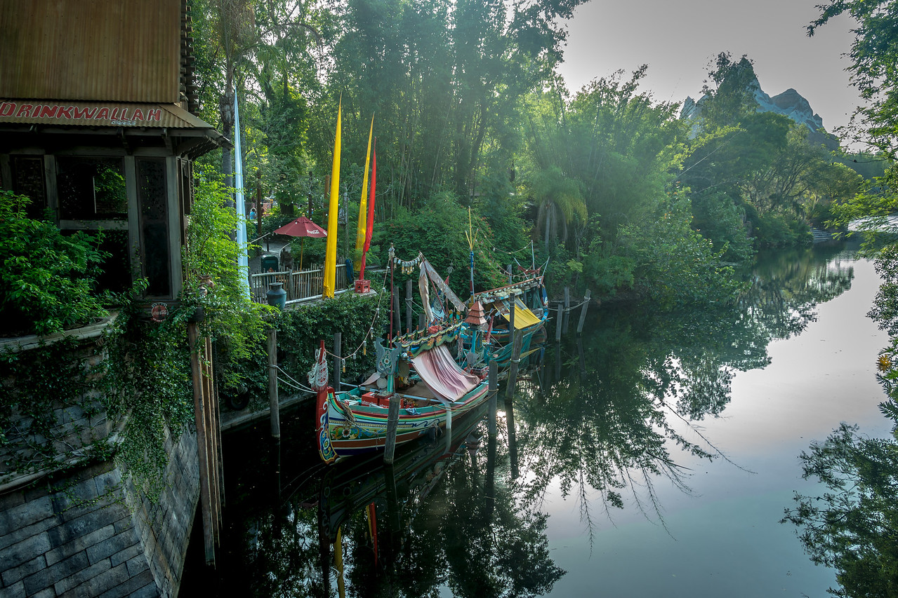 _DSC5308-X2.jpg