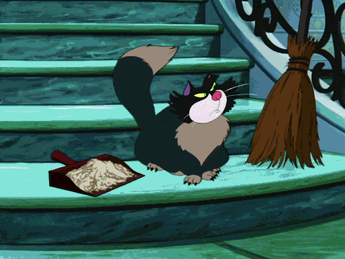 tumblr_lnm38fbNYv1qf4qpho1_500.gif