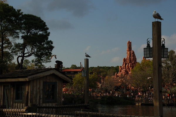 333902804_cahXn-M.jpg