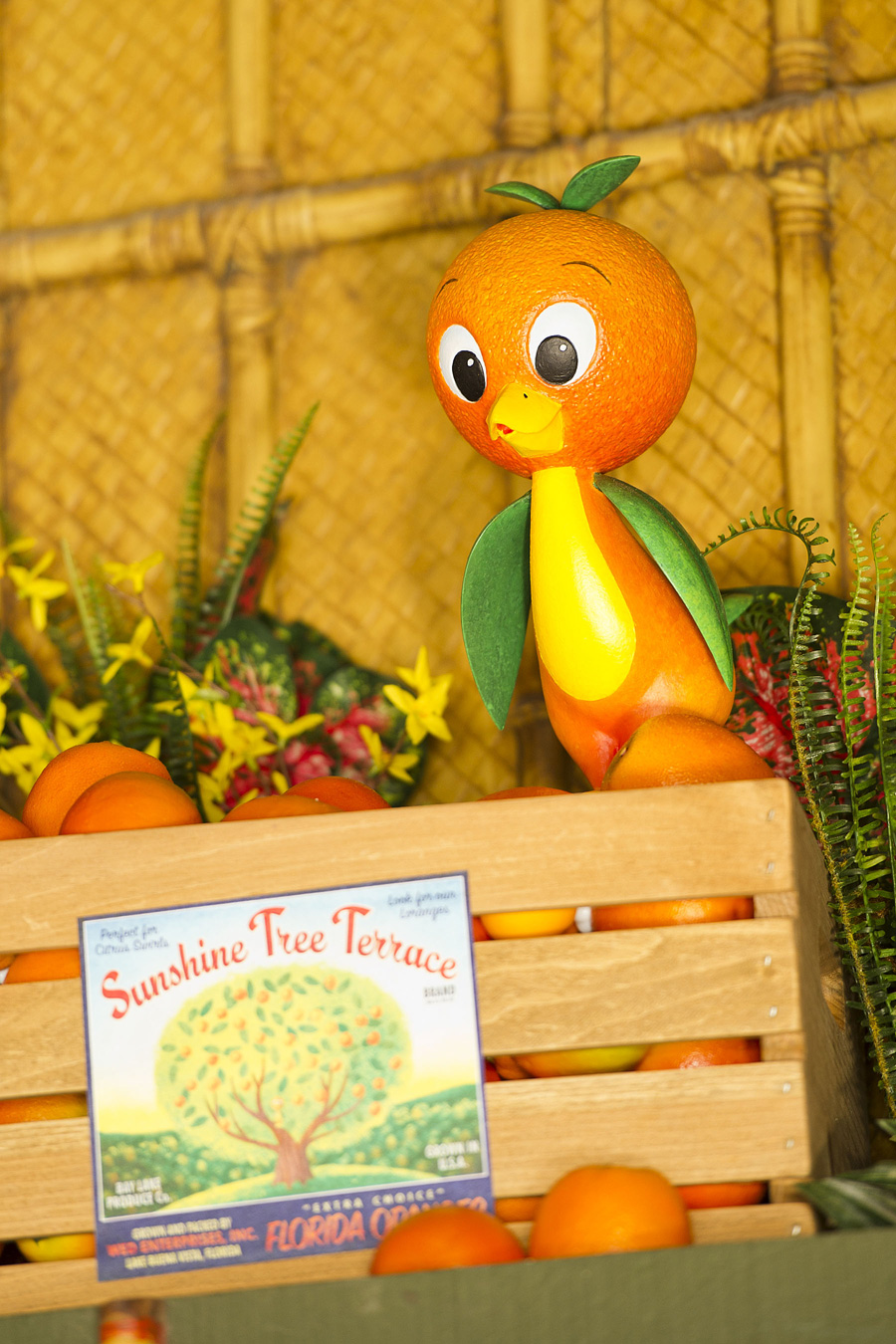 orange_bird_at_sunshine_tree_terrace.jpg