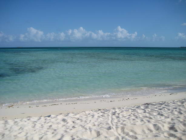 IMG_7007.JPG
