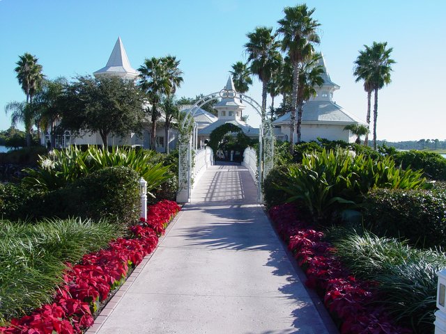 DSC08740.jpg