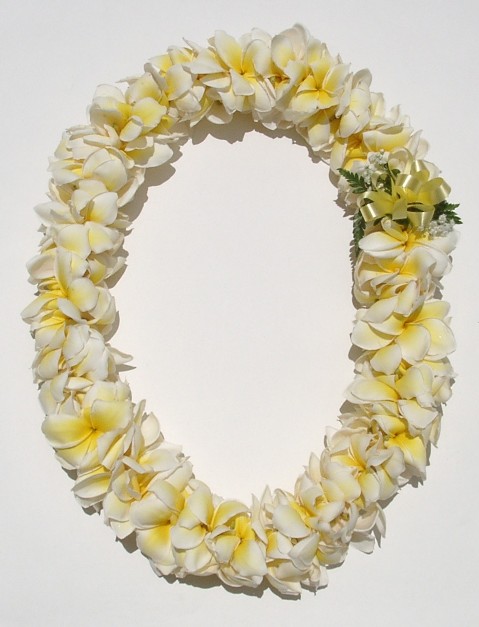 Double%20Plumeria%20Yellow%20crop.jpg