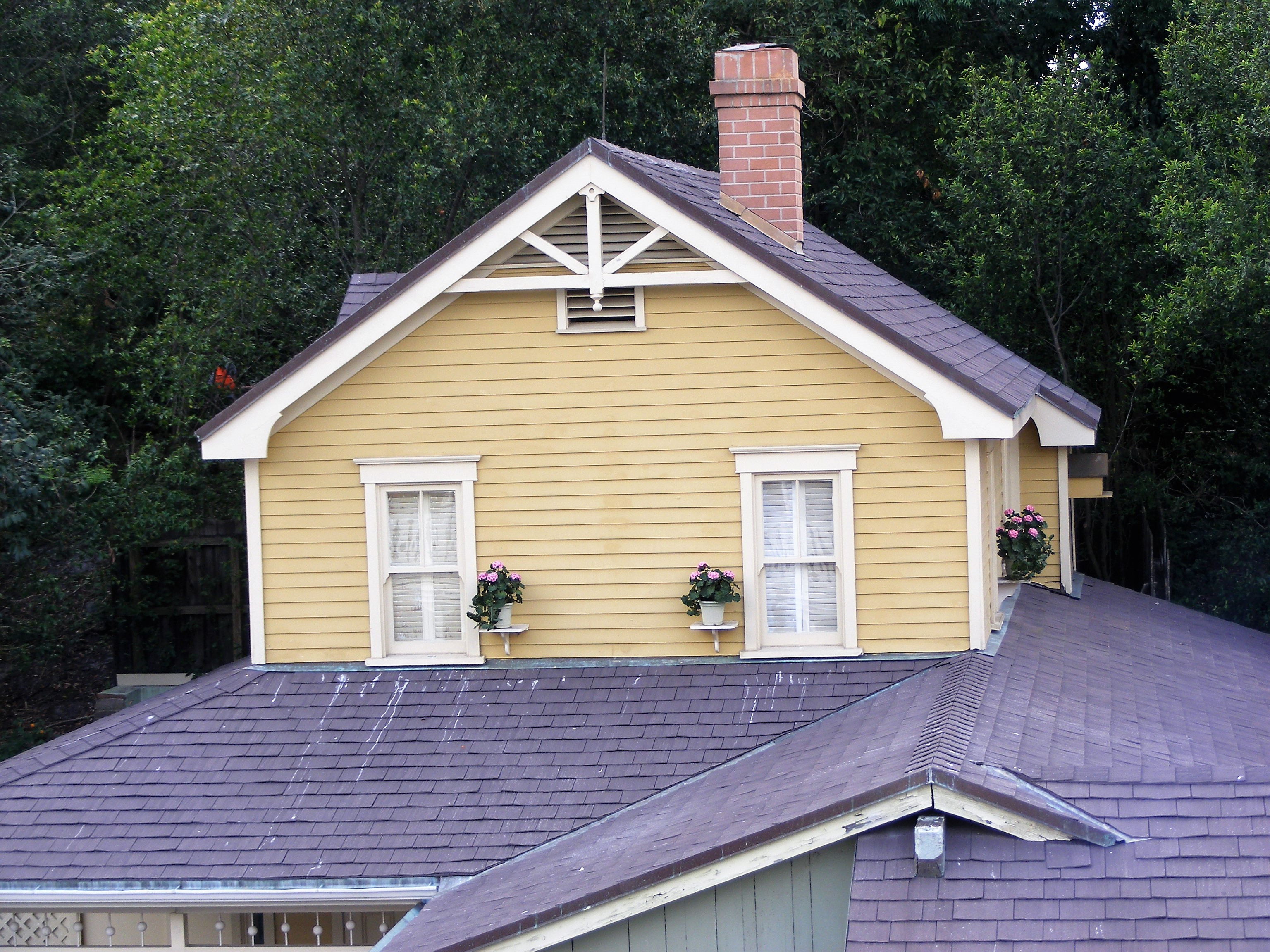 DSCF2573.jpg