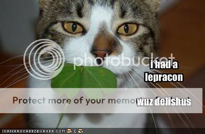 funny_pictures_your_cat_ate_a_leprechaun1_Happy_St_Patricks_Day-s400x263-47898-580.jpg