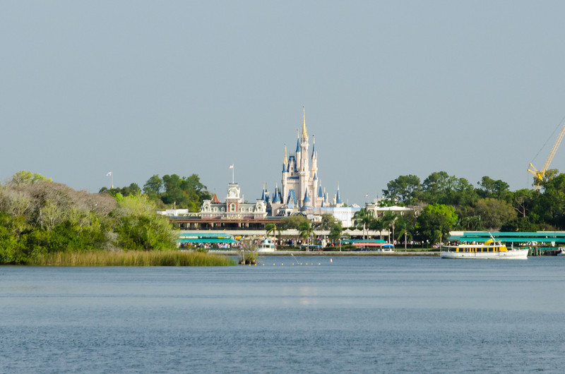 DSC0507-L.jpg