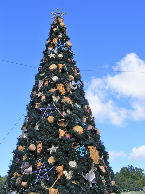 DSCF7153.jpg