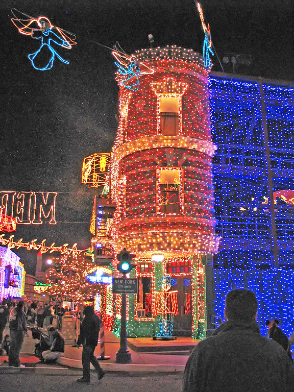 IMG_7617-XL.jpg