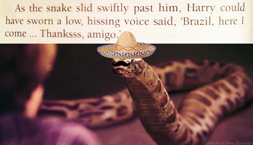 tumblr_losihuB1uO1qa8ir9o1_r3_500.gif