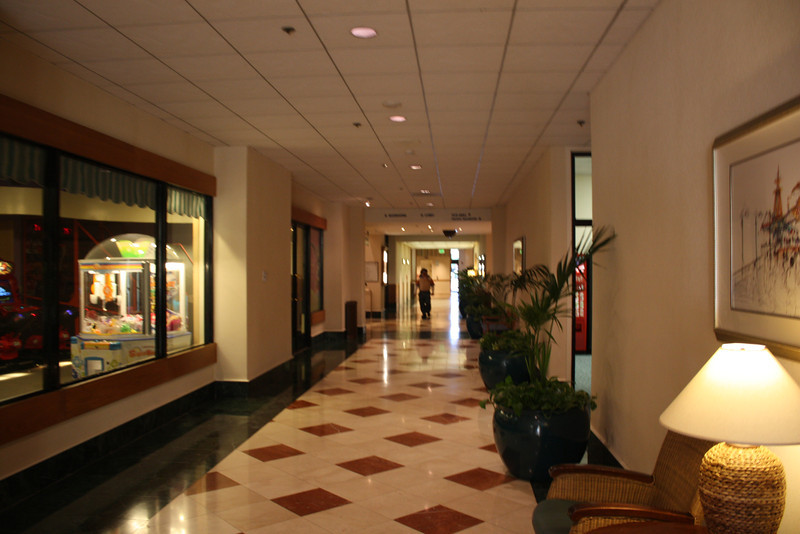 IMG9436-L.jpg