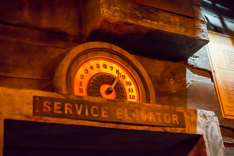 DSC_1133-L.jpg