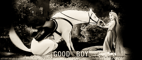 tumblr_li9hl7wSZm1qzmg26o1_500.gif
