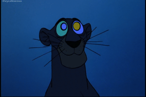tumblr_n0mz9n4bka1r115e9o1_500.gif