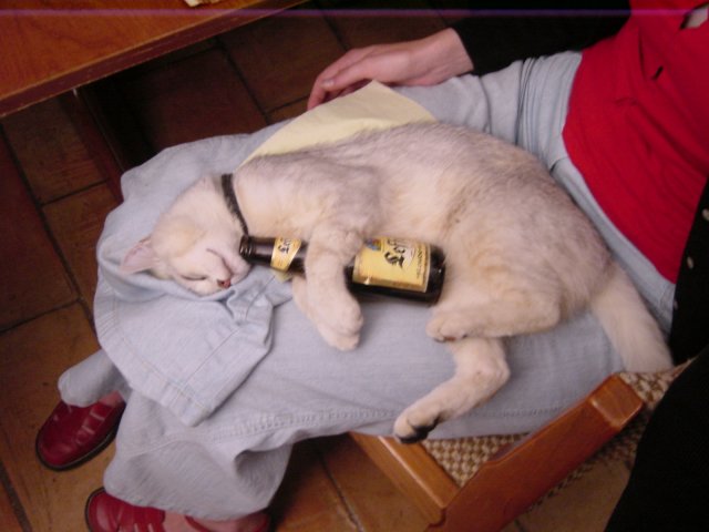 20030528223254-med.jpg