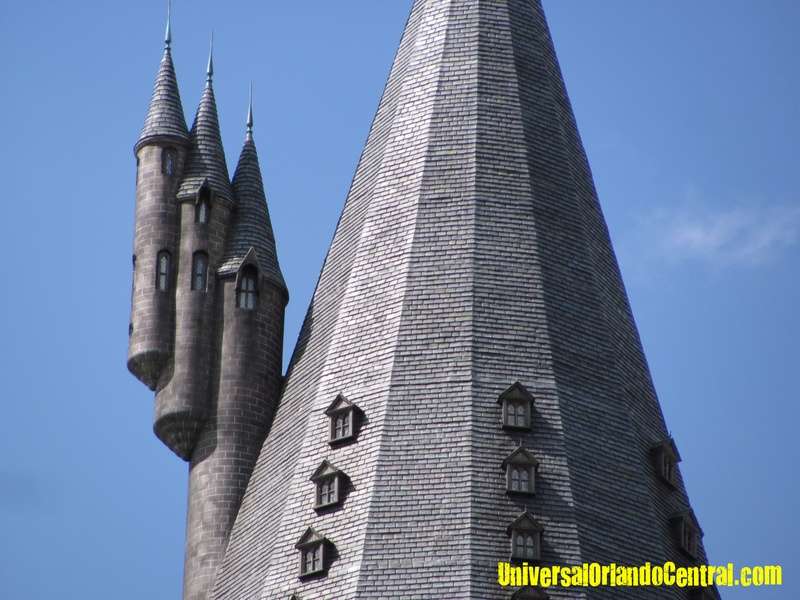 img3691t.jpg