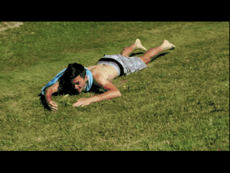 giphy.gif