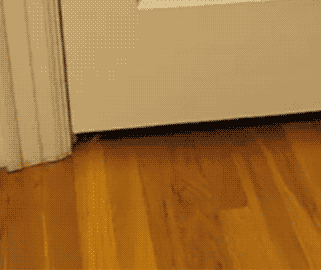 tumblr_lo8c71NPIm1qzcv7no1_400.gif