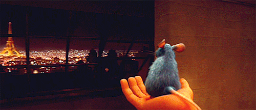 tumblr_lzz9ja2Z351qg7qx4o1_r1_500.gif