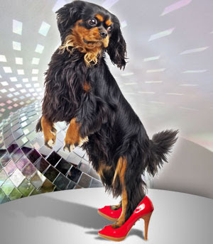 dancing_dog.jpg