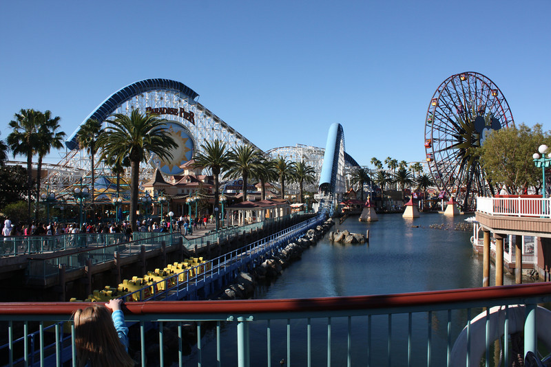 IMG9816-L.jpg