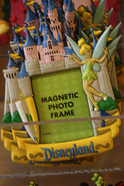 IMG0753-L.jpg