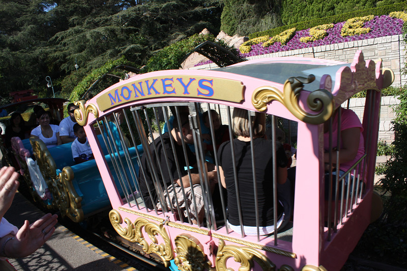 IMG9340-L.jpg