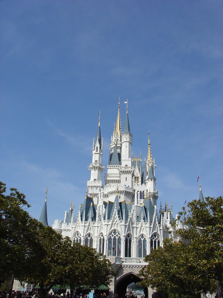 DSC01921.jpg