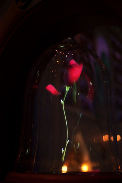 570727797_c6hj3-L.jpg