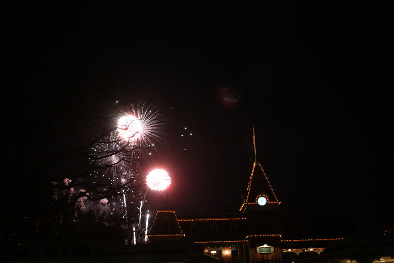 IMG0651-L.jpg