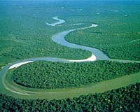 amazon-river-bg.jpg