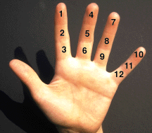 12hand.gif