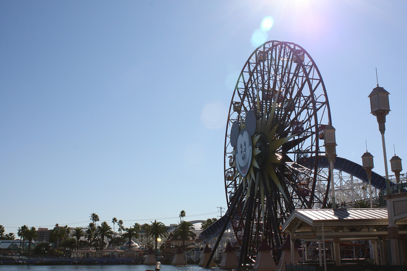 IMG9870-L.jpg