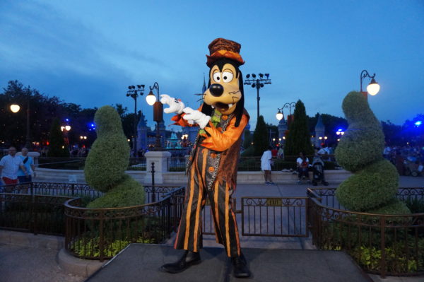 mnsshp-2018-03.jpg